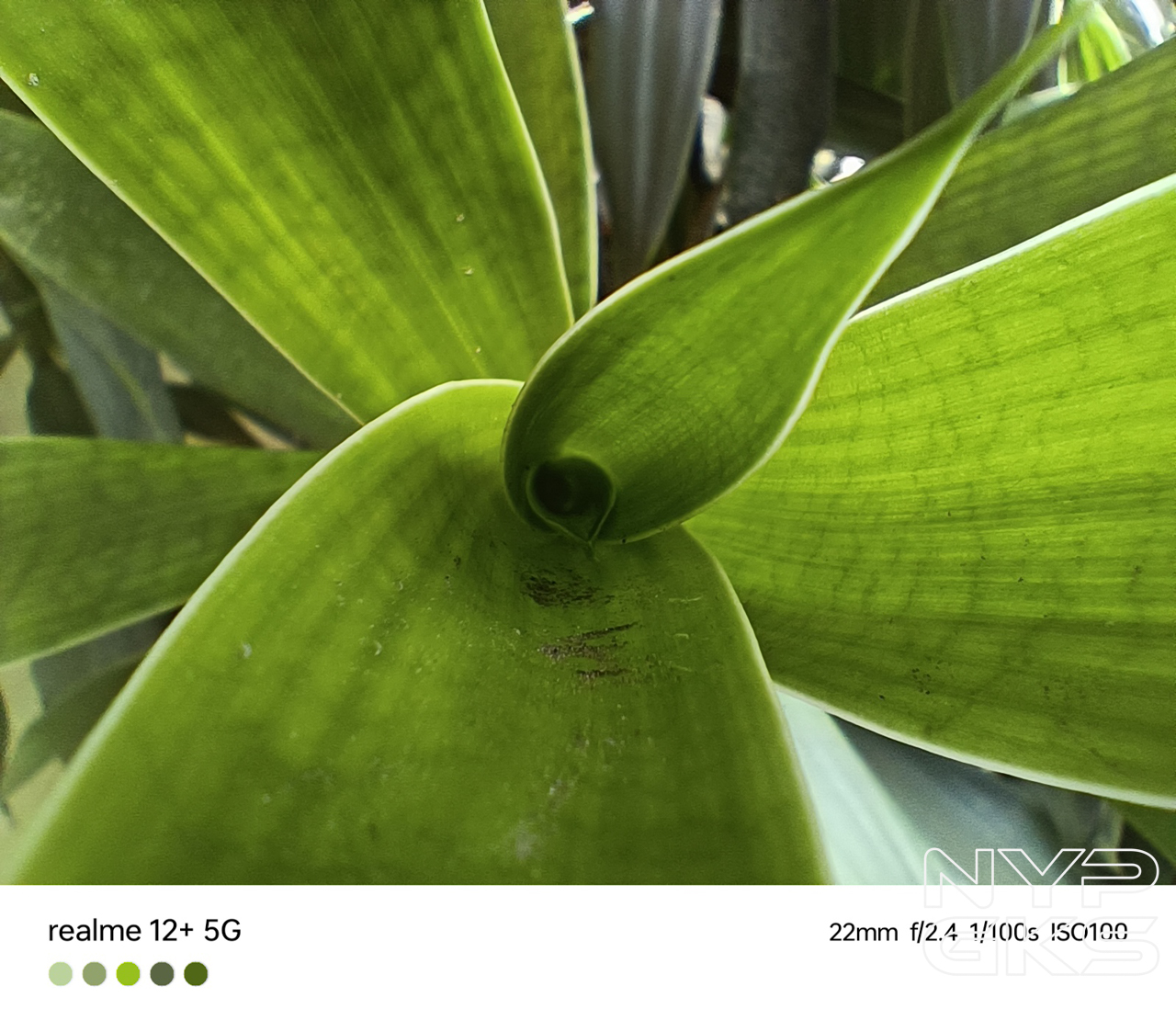 realme-11-Plus-Macro-6422