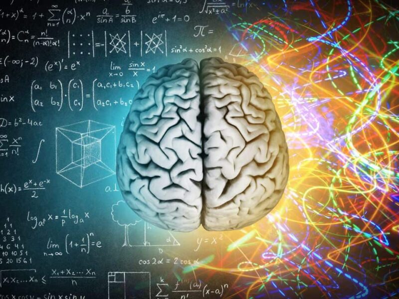 Brain-47827
