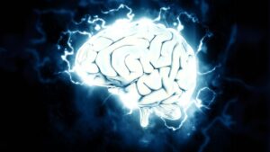 Brain-4889
