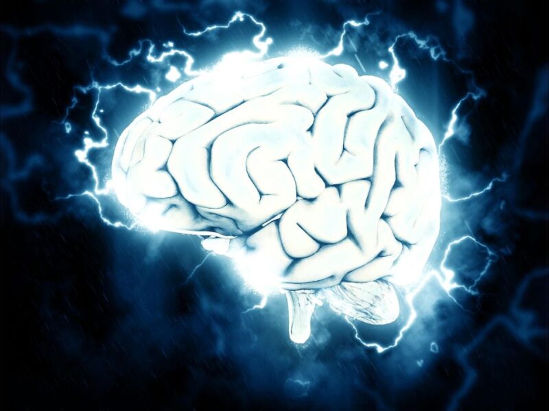 Brain-4889