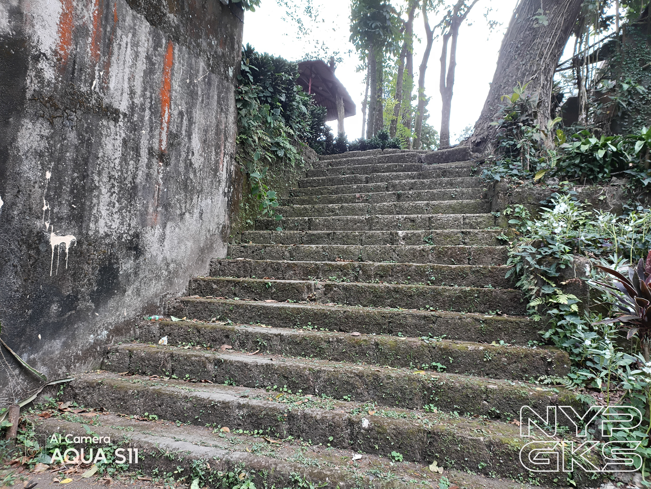 CHERRY-Aqua-S11-Pro-Camera-Samples-5396