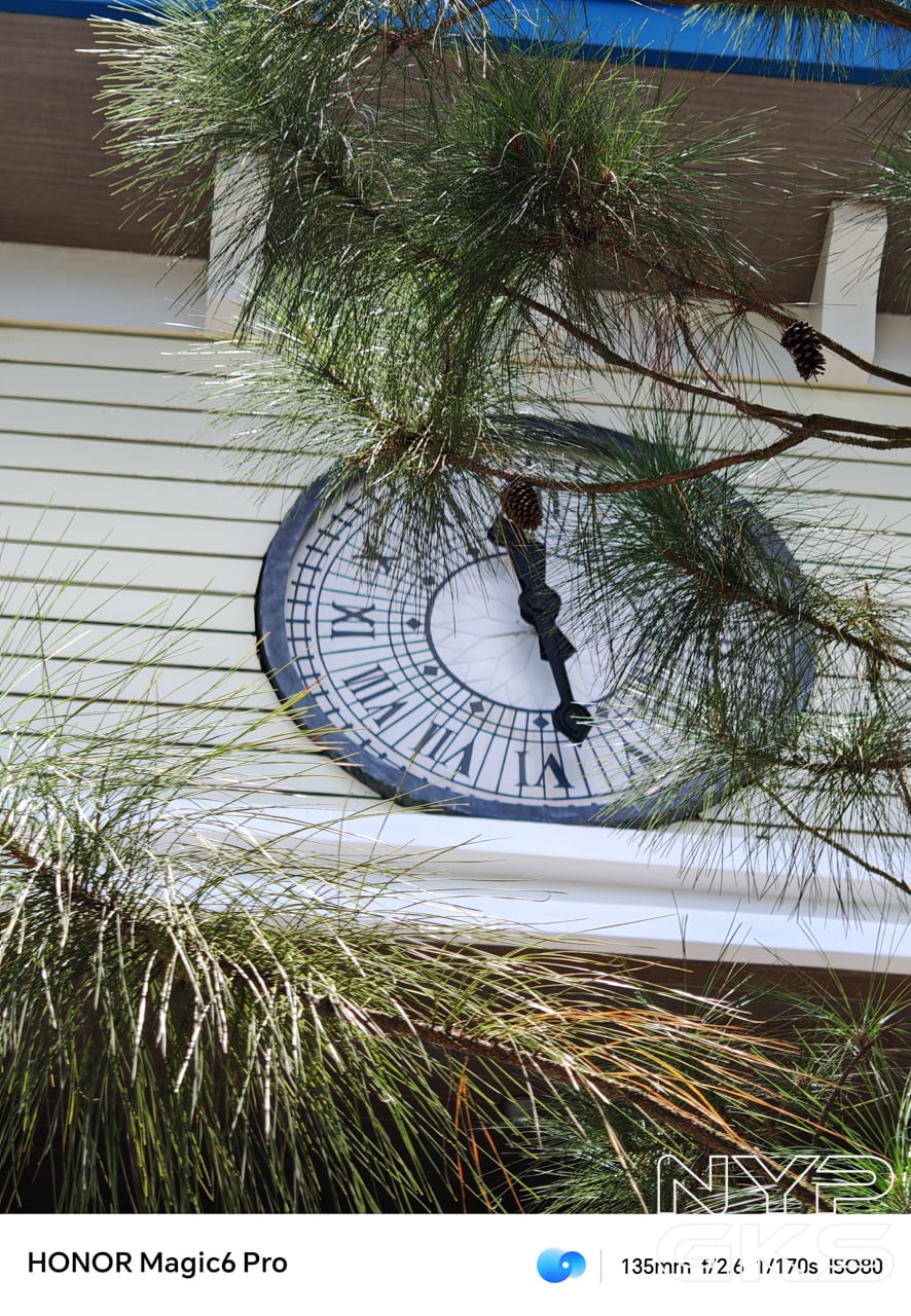 HONOR-Magic-6-Pro-Portrait-2x-telephoto-5292