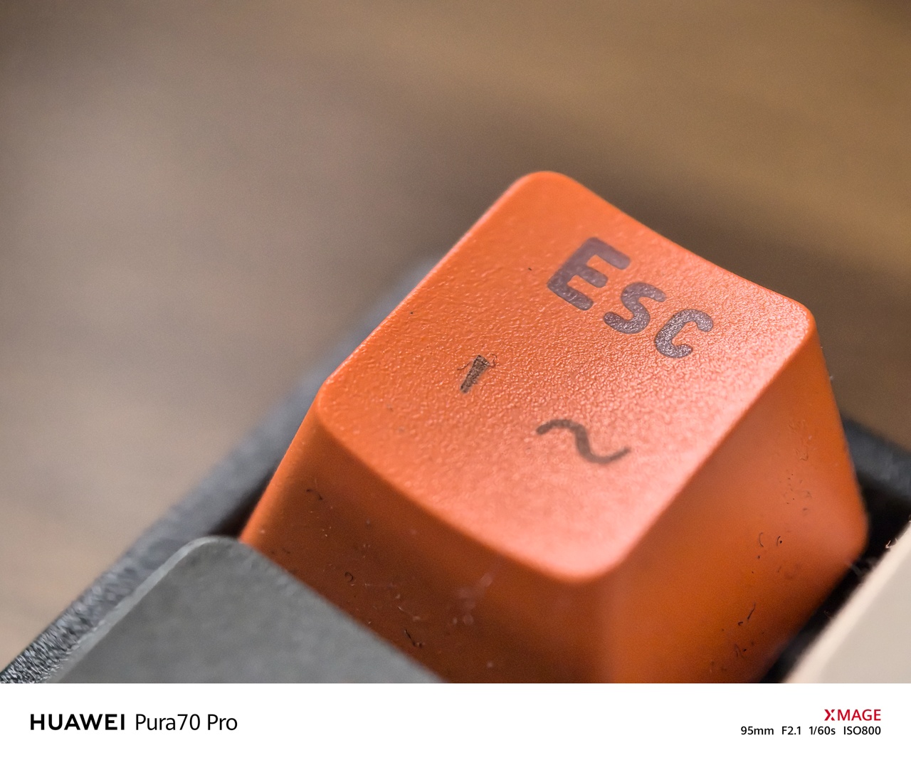 HUAWEI-Pura-70-Pro-Macro-5971