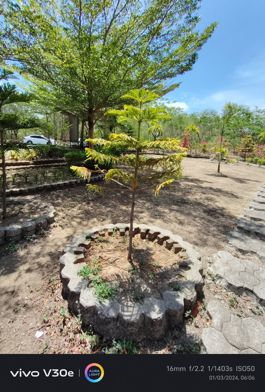 vivo-V30e-5G-Camera-Samples (3)