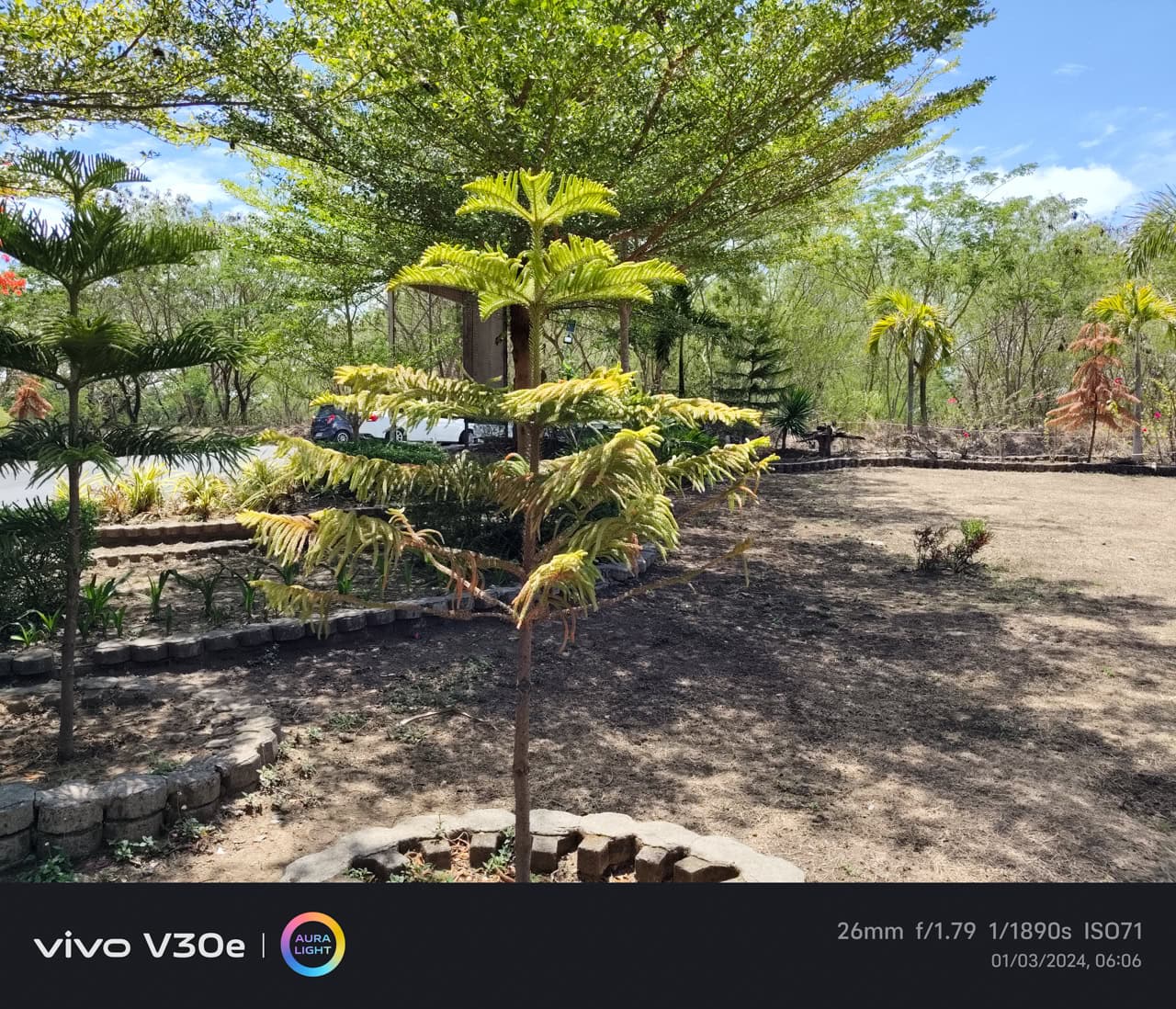 vivo-V30e-5G-Camera-Samples (8)
