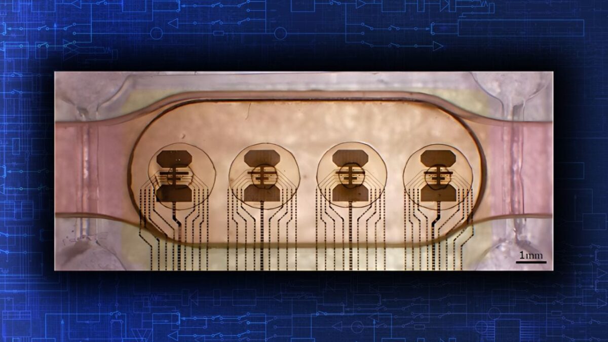 Biocomputer-Human-Mini-Brains-Swiss