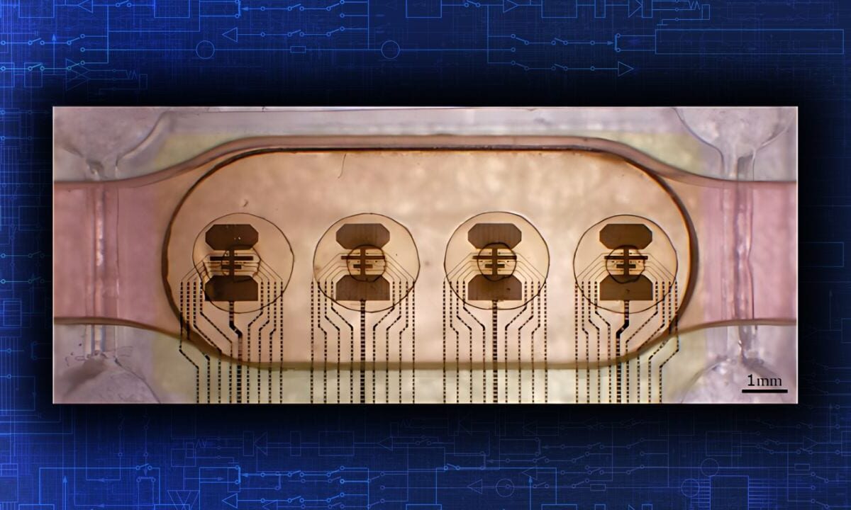 Biocomputer-Human-Mini-Brains-Swiss