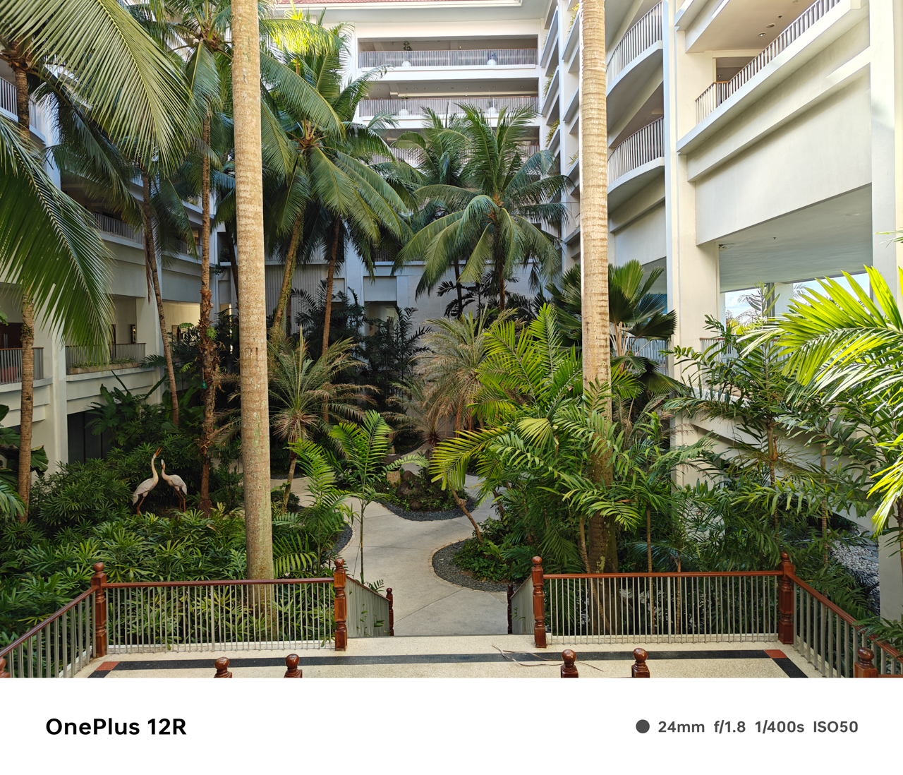 OnePlus-12R-Camera-Samples-5715