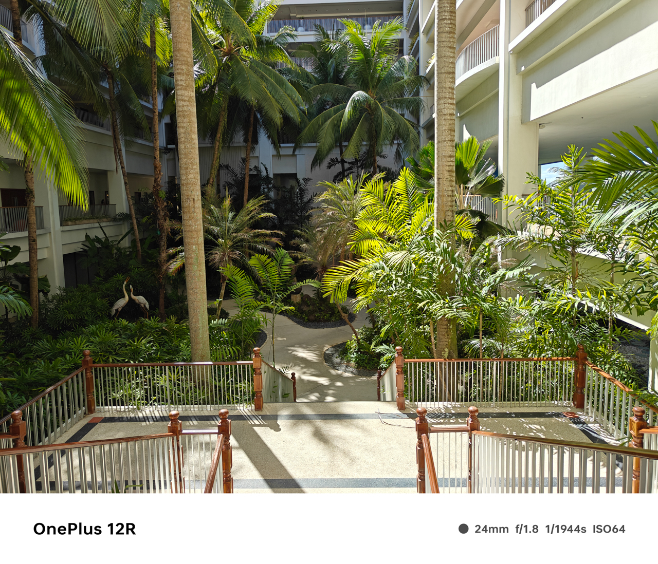 OnePlus-12R-Camera-Samples-5717