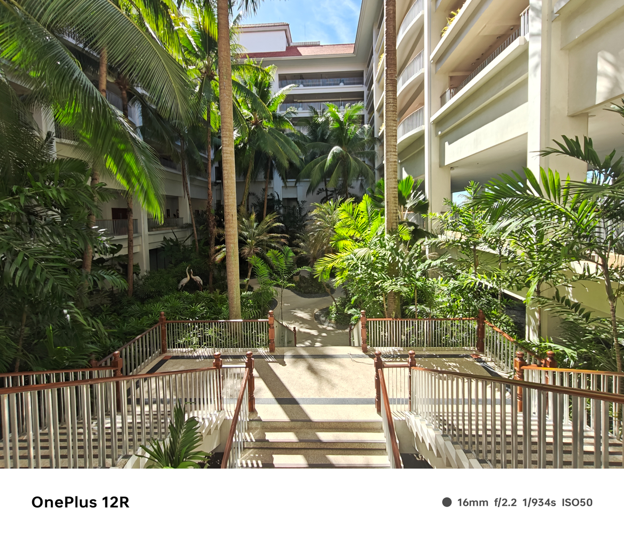 OnePlus-12R-ultra-wide-20240517091024