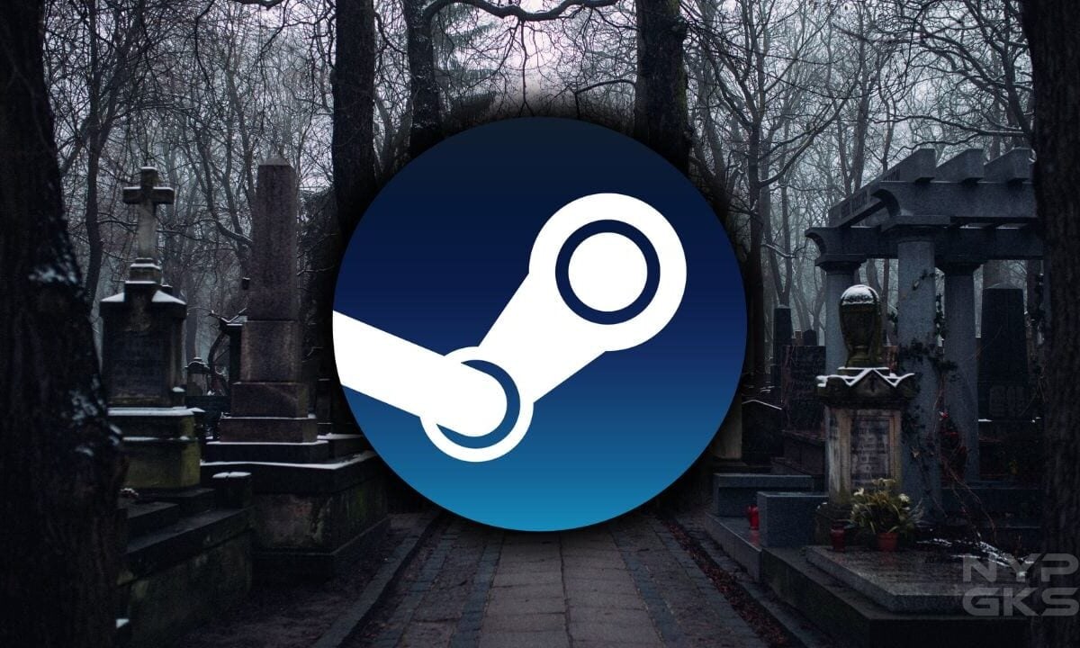 Steam-accounts-non-transferable-death