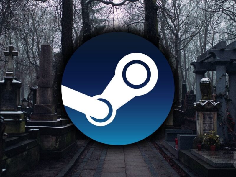 Steam-accounts-non-transferable-death