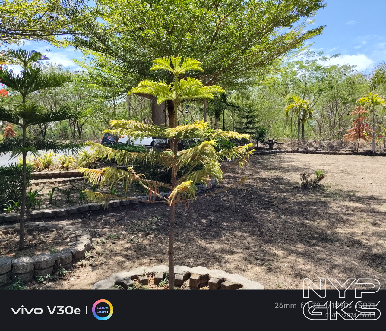 vivo-V30e-camera-samples-5813
