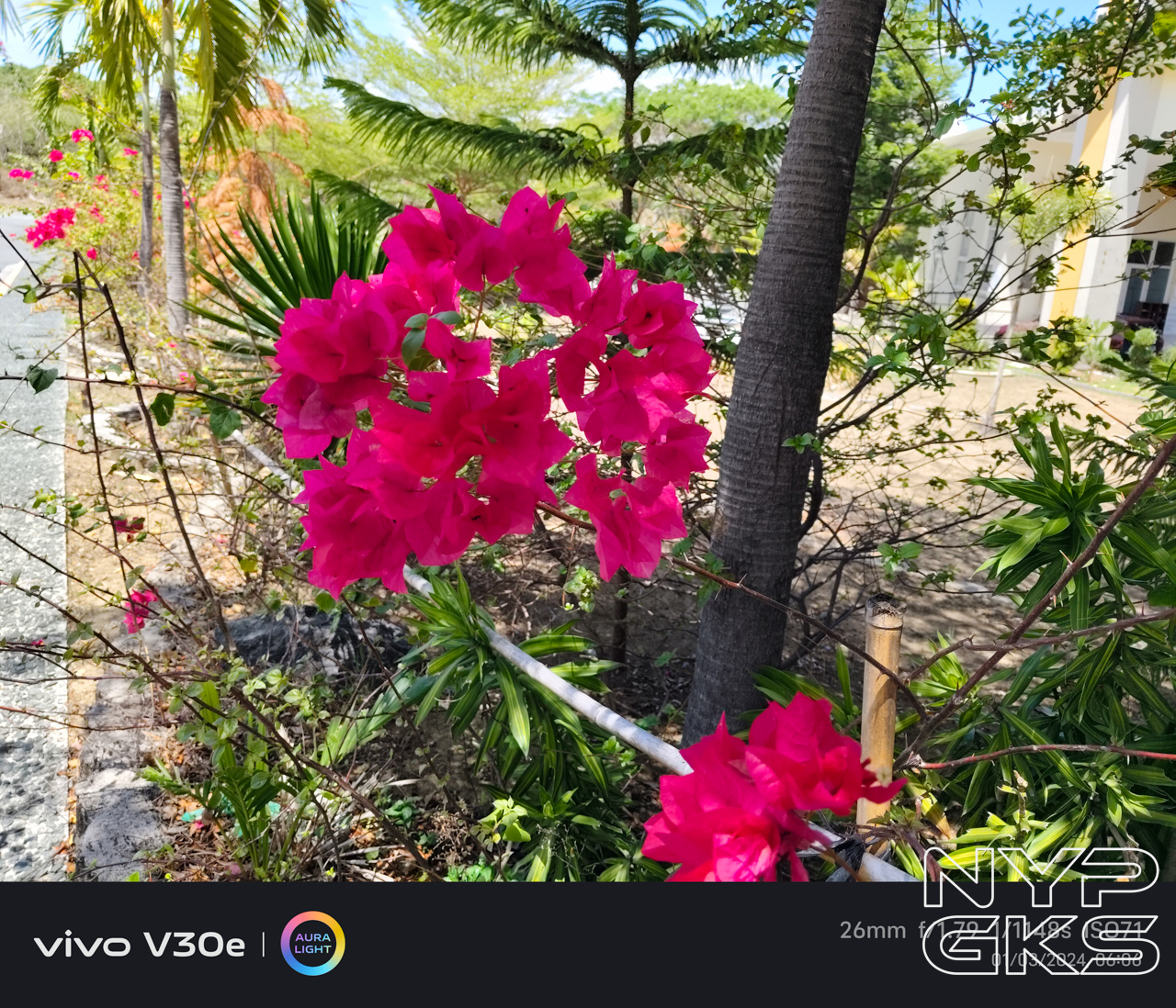 vivo-V30e-camera-samples-5814