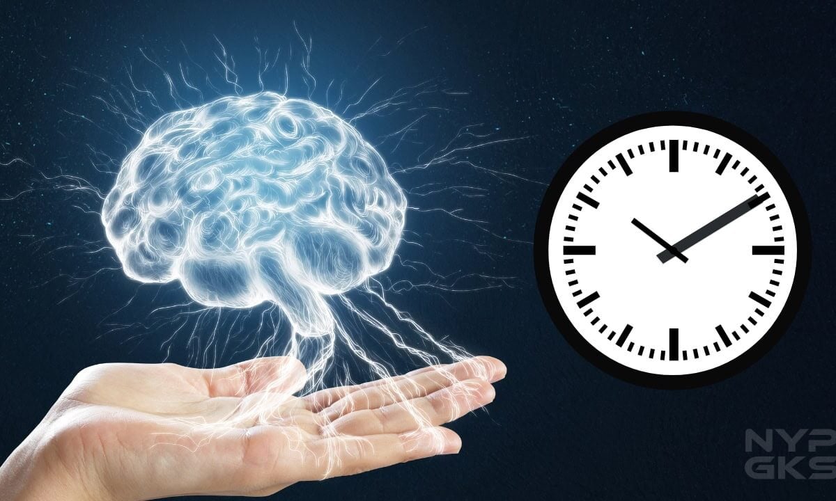 Brain-Time-178451