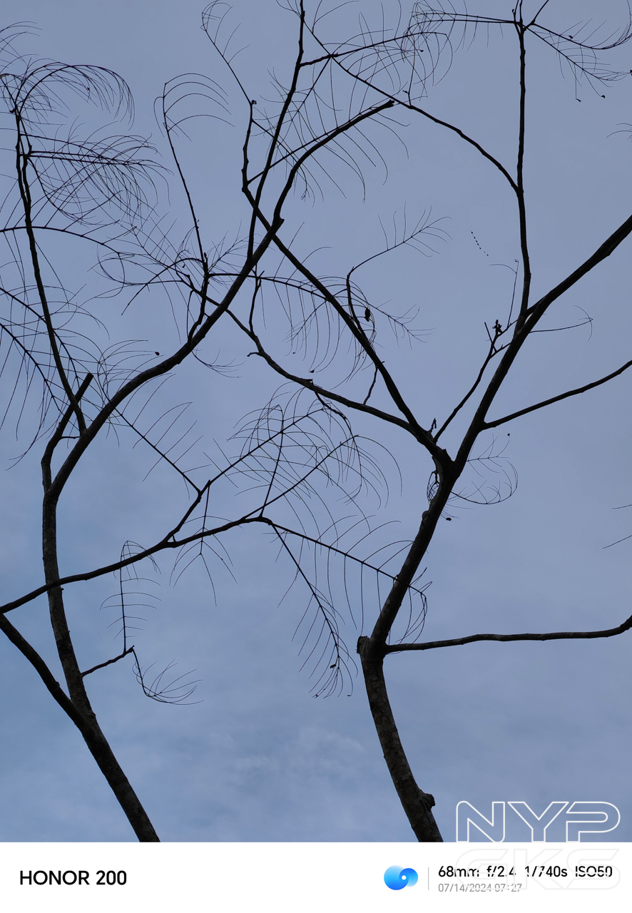 HONOR-200-Telephoto-5153