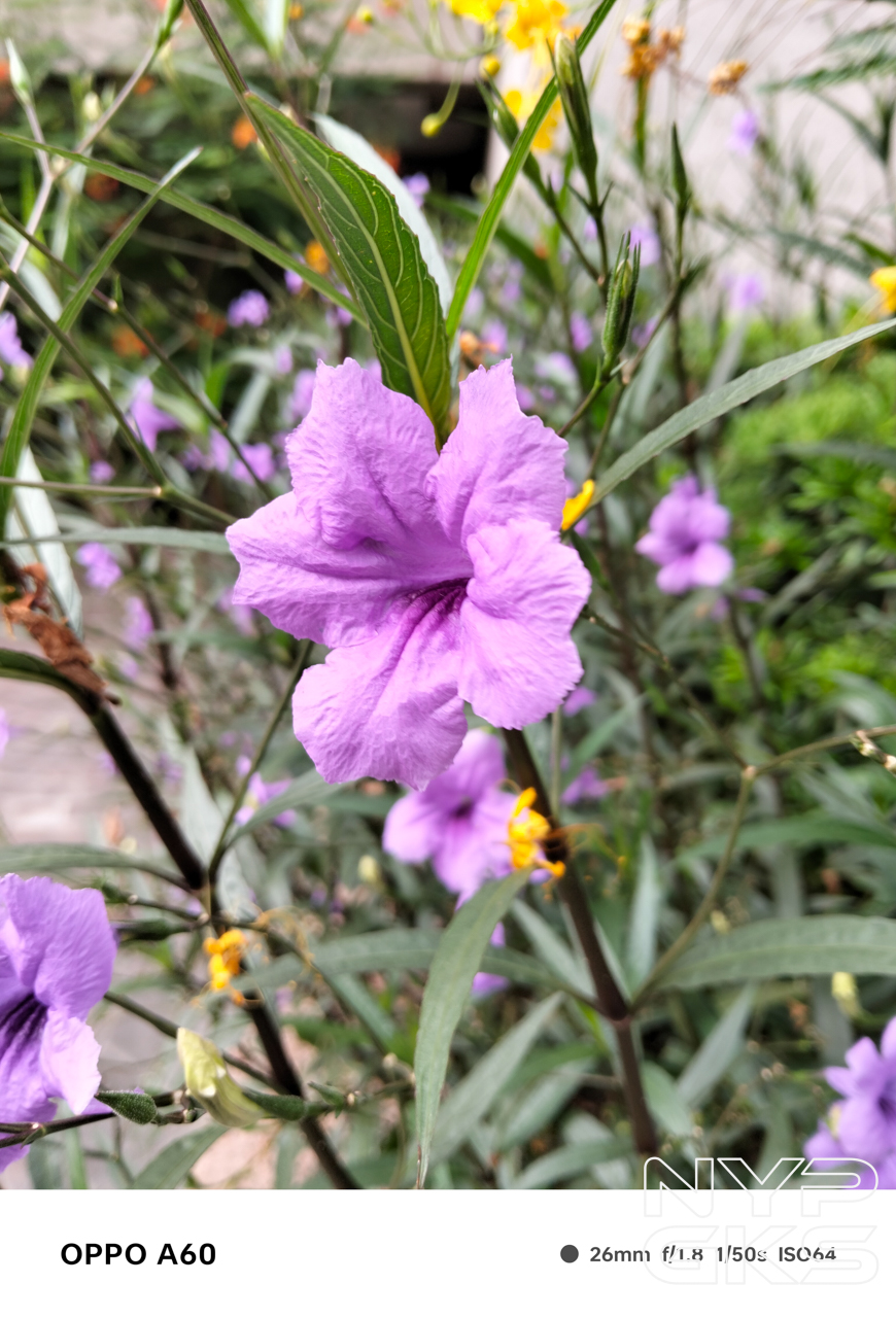 OPPO-A60-Camera-Samples-5427