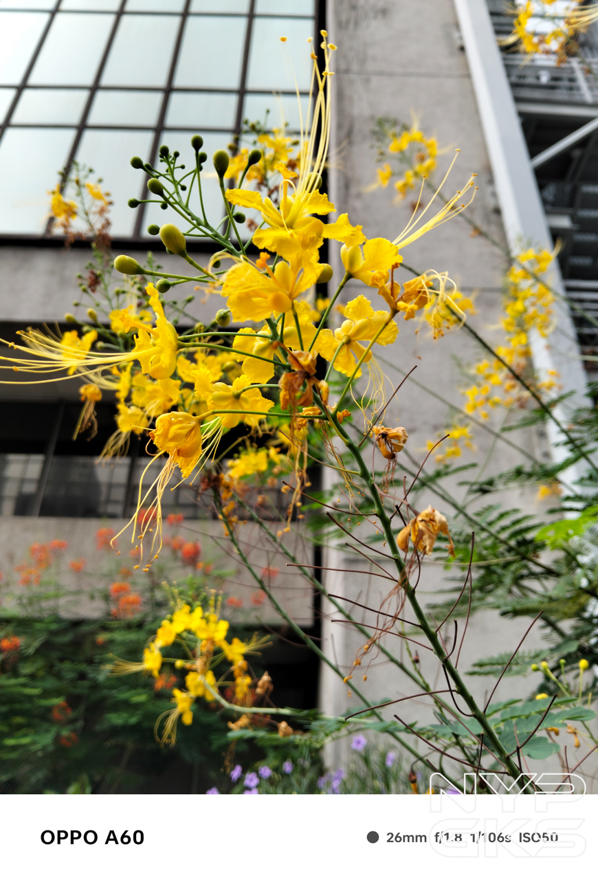 OPPO-A60-Camera-Samples-5428