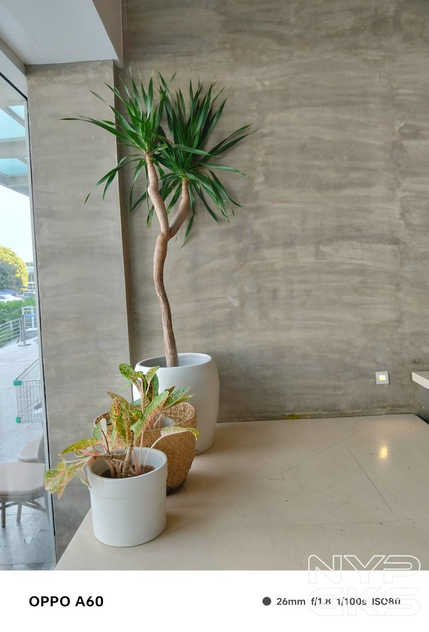 OPPO-A60-Camera-Samples-5433