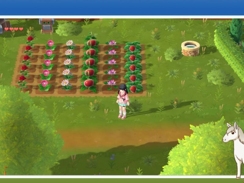 Harvest-Moon-Home-Sweet-Home-Android-iOS-5971