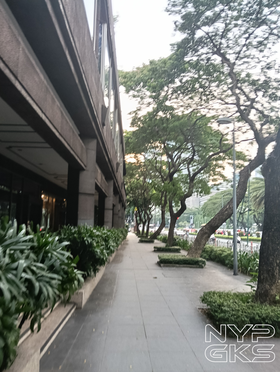 OPPO-Reno12-F-5G-Camera-Review-5824