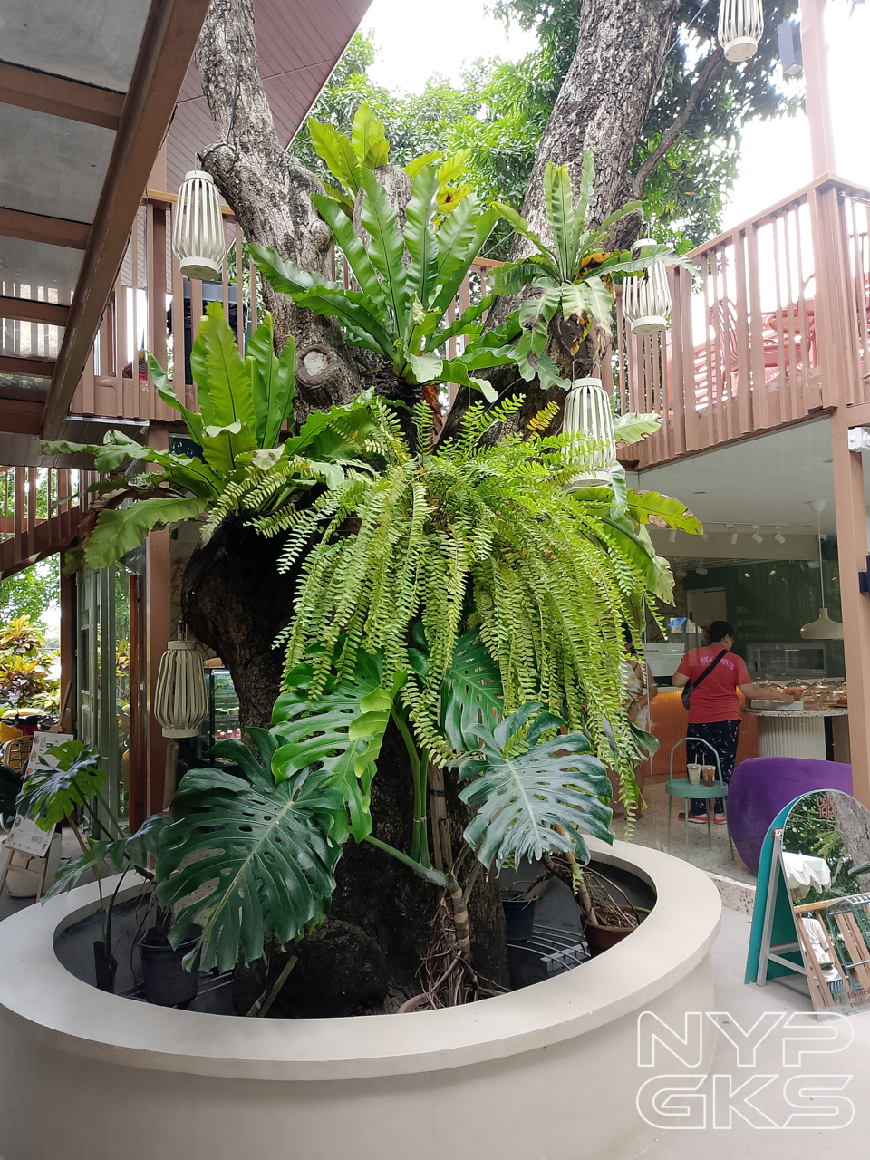 realme-C63-Camera-Samples-5826
