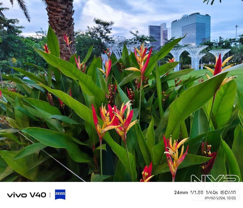 vivo-V40-ZEISS-optics-NoypiGeeks-13
