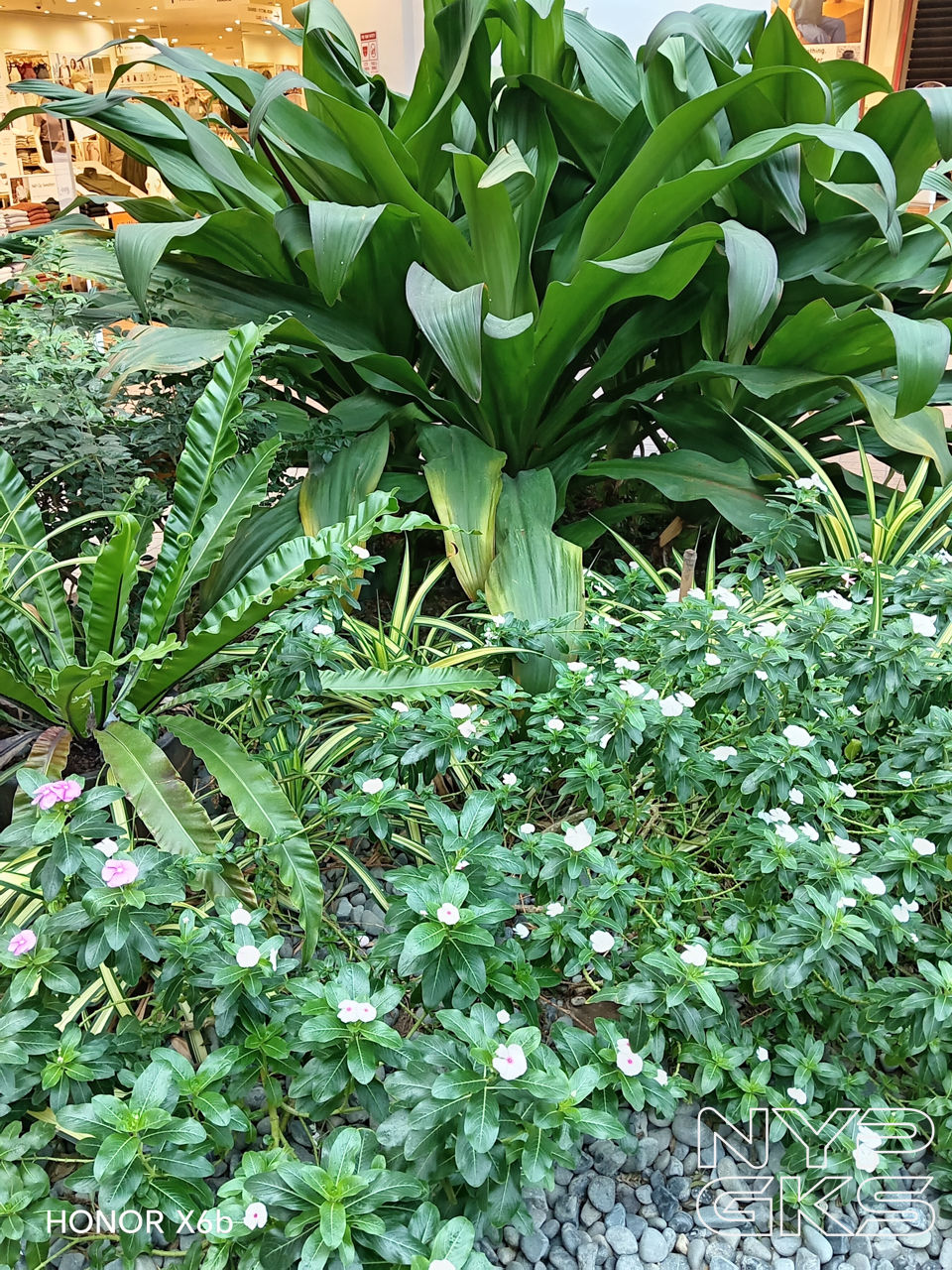 HONOR-X6b-Camera-Samples-5923