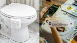 Throne-Toilet-78429