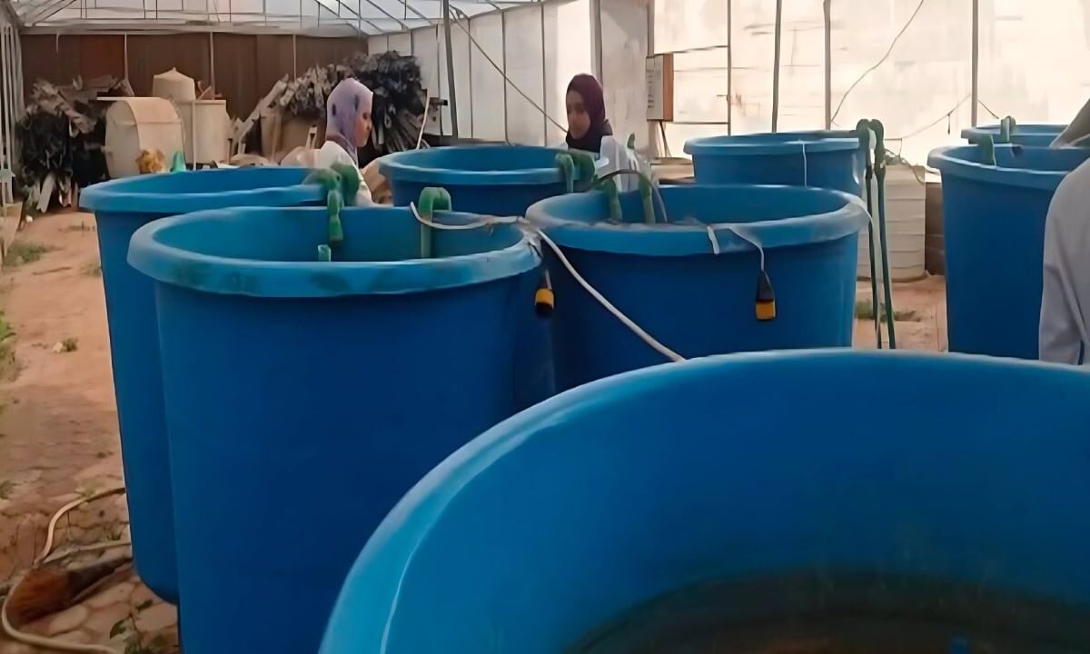 Tilapia-colder-water-fed-gum-ingredients