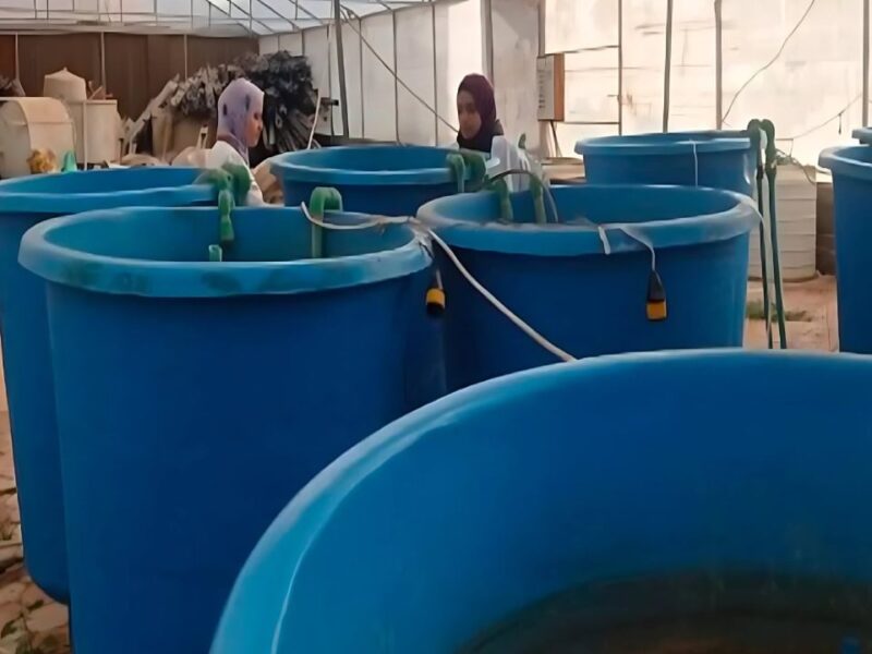 Tilapia-colder-water-fed-gum-ingredients