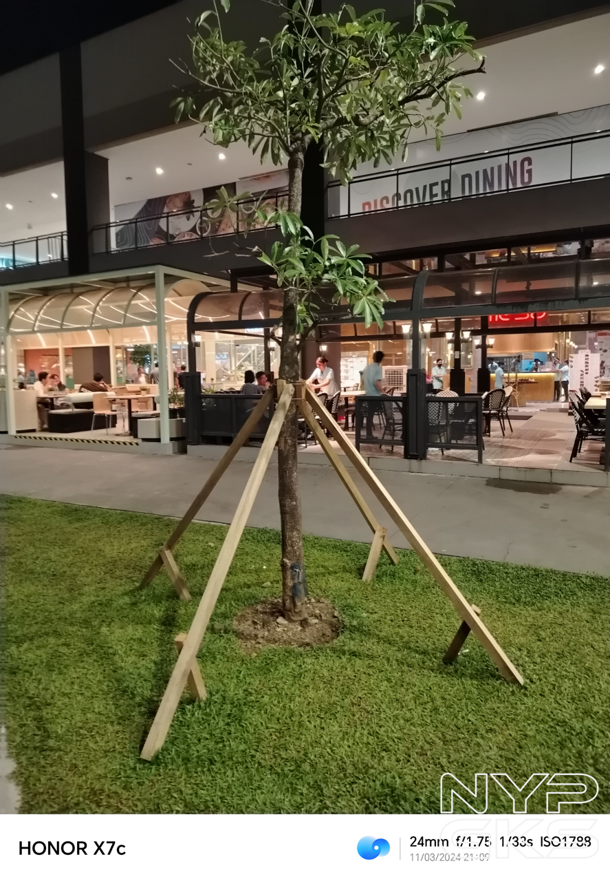 HONOR-X7c-Low-Light-Night-Mode-5447