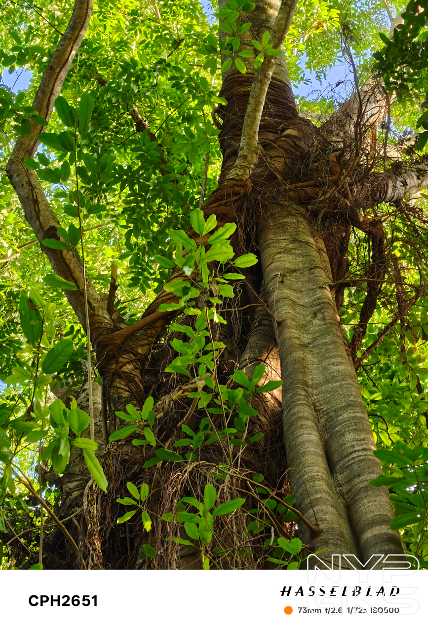 OPPO-Find-X8-Telephoto-5543