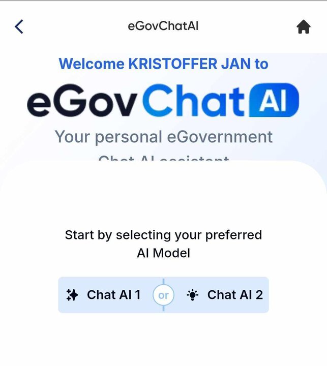 eGovChat-AI