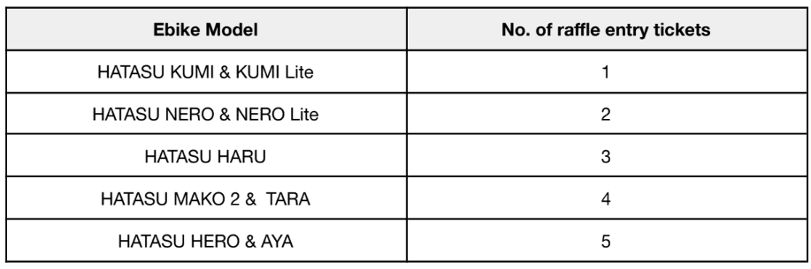 HATASU-Holiwheels-Raffle-Entry-Ticket