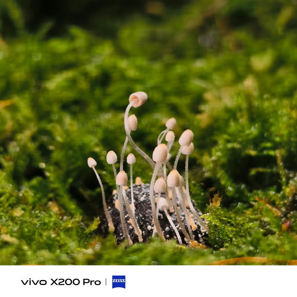 vivo-X200-Cameras (3)