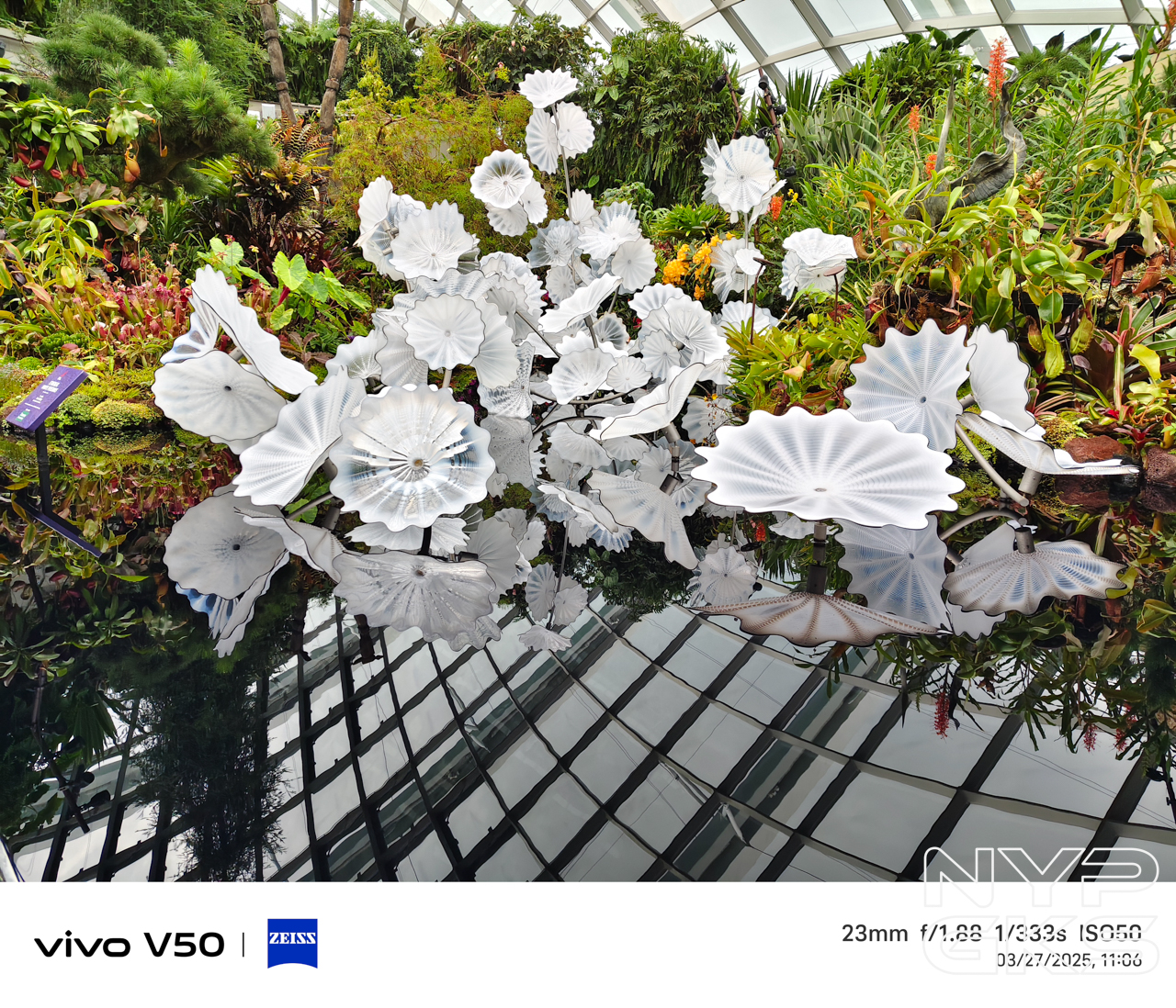 vivo-V50-Camera-Samples-5987