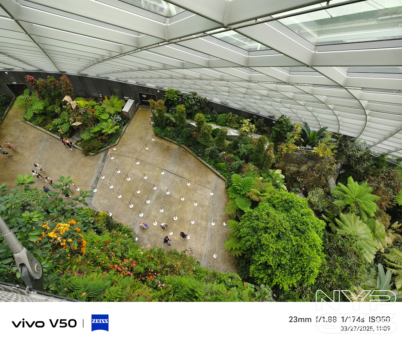 vivo-V50-Camera-Samples-5990