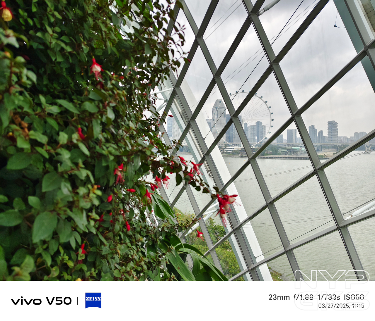 vivo-V50-Camera-Samples-5991