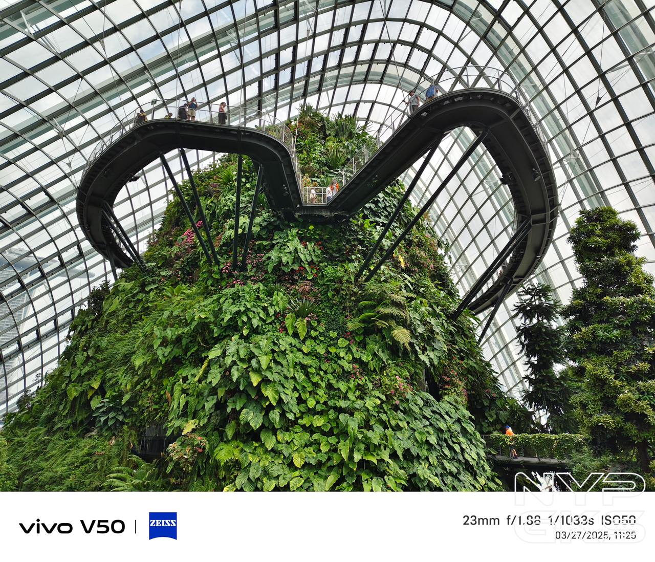 vivo-V50-Camera-Samples-5992