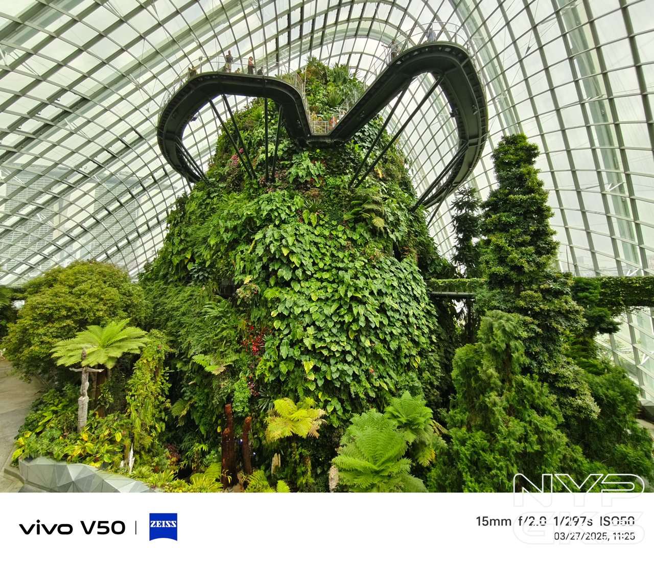 vivo-V50-Ultra-Wide-5992