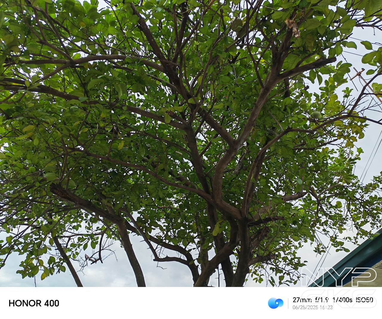 HONOR-400-Camera-Samples-5185