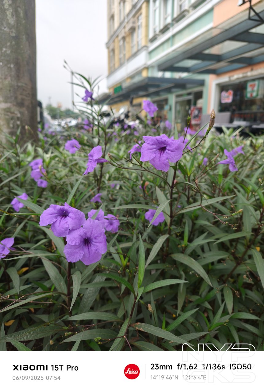 Xiaomi-15T-Pro-Camera-Samples-5994