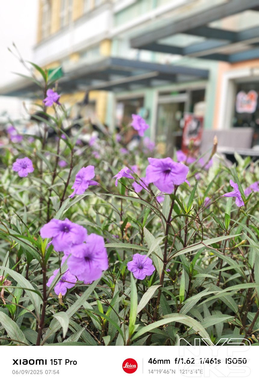 Xiaomi-15T-Pro-Portrait-5992