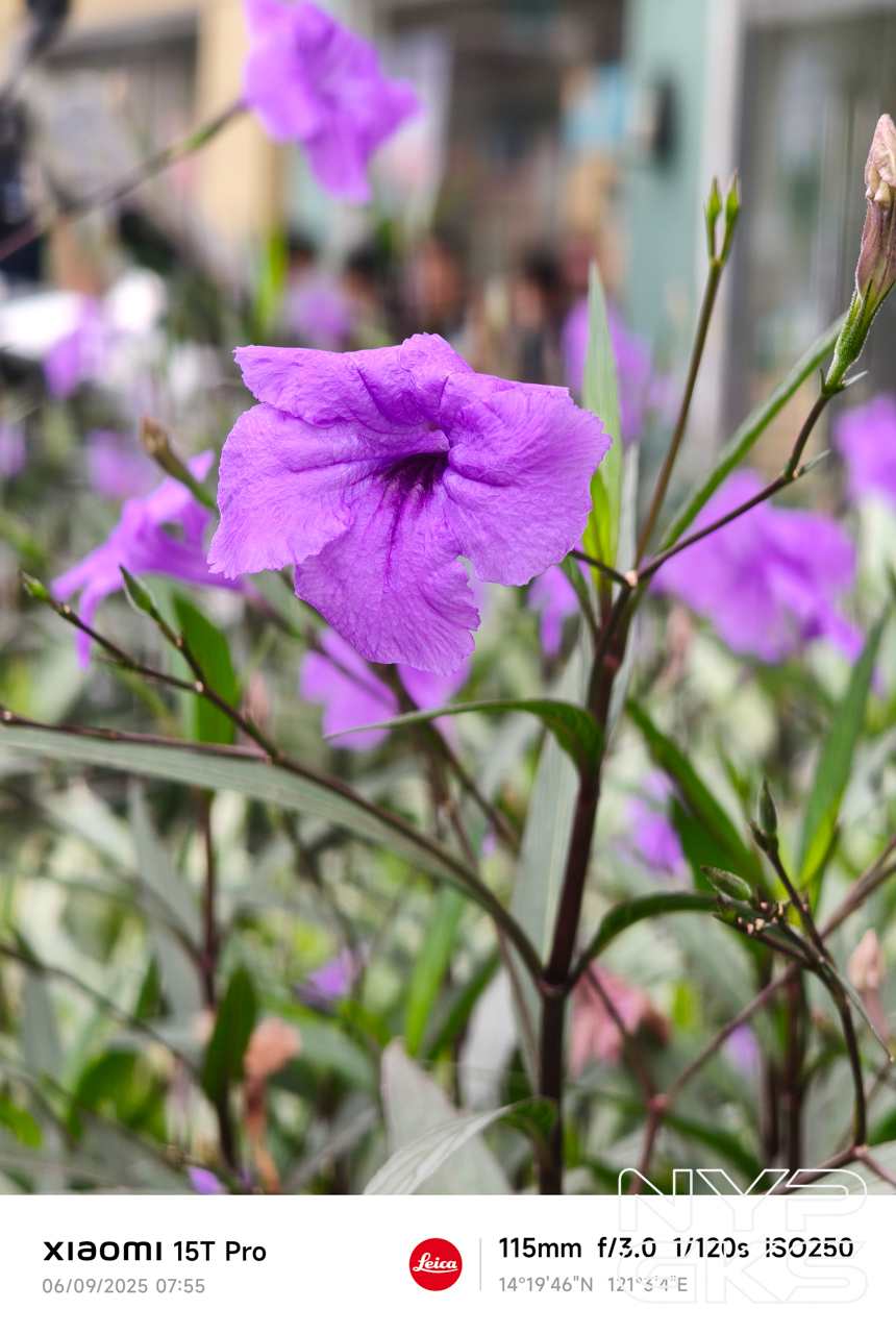 Xiaomi-15T-Pro-Telephoto-5993