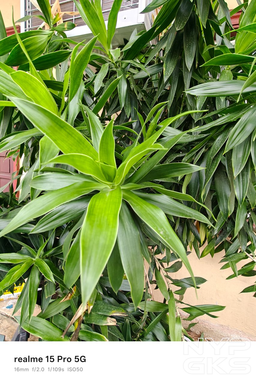 realme-15-Pro-Ultra-Wide-5757