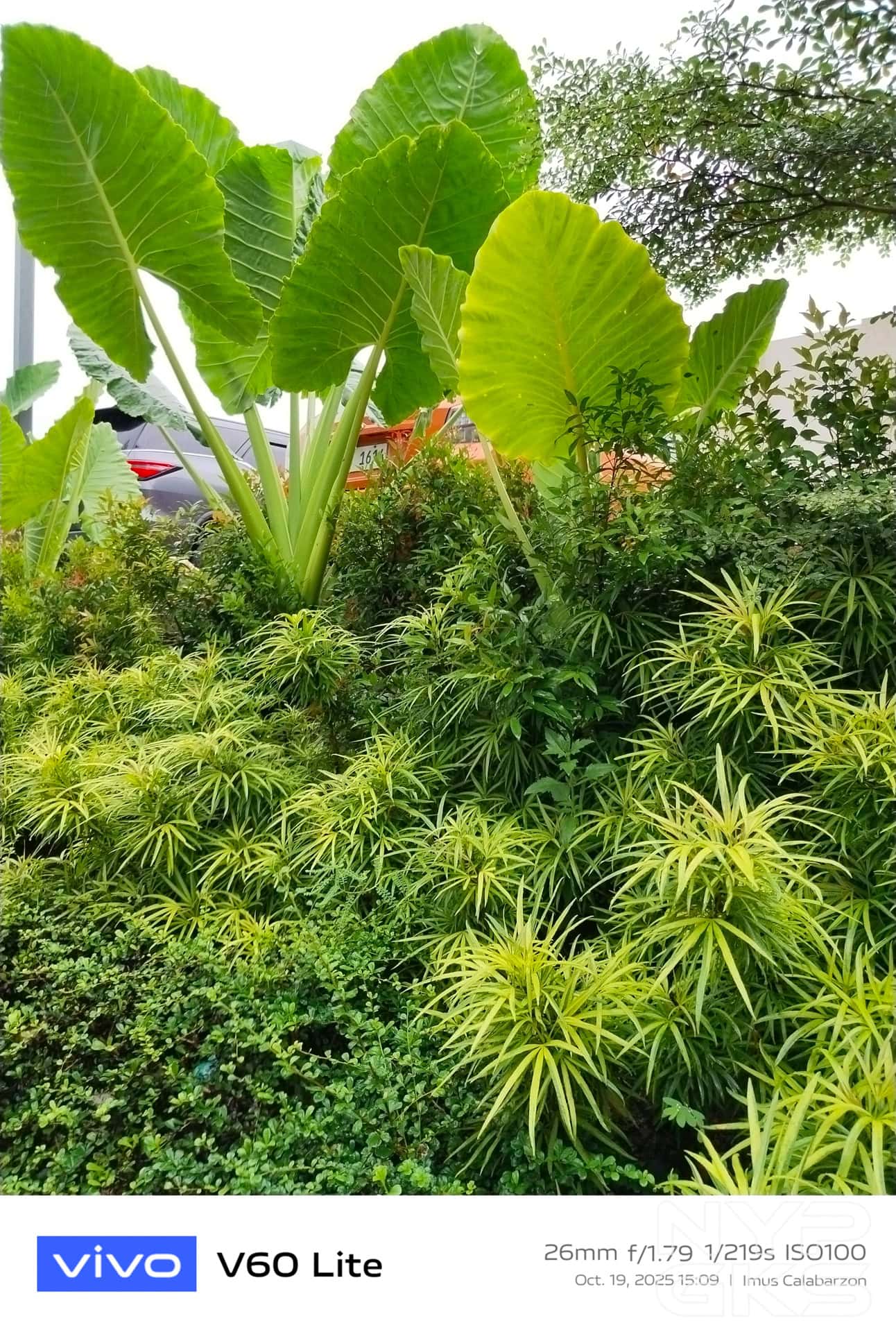 vivo-V60-Lite-Feature-NoypiGeeks (2)