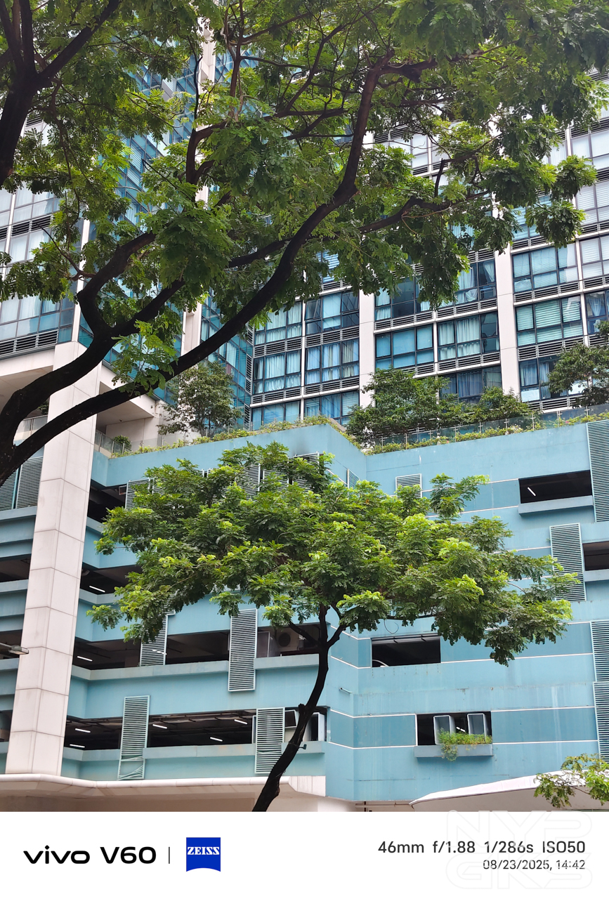 vivo-V60-Portrait-5996