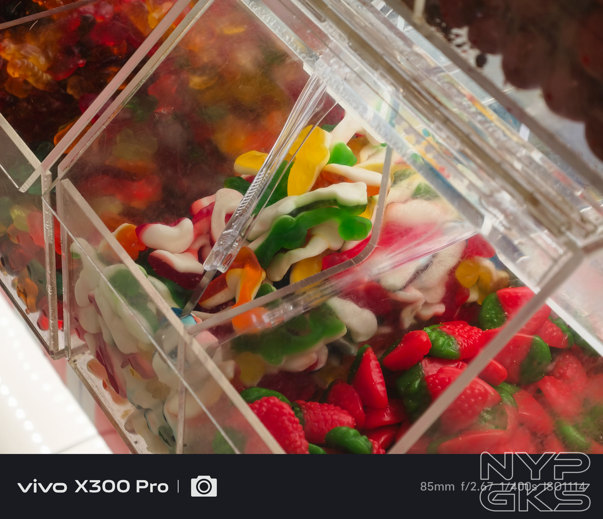 vivo-X300-Pro-Telephoto-5593