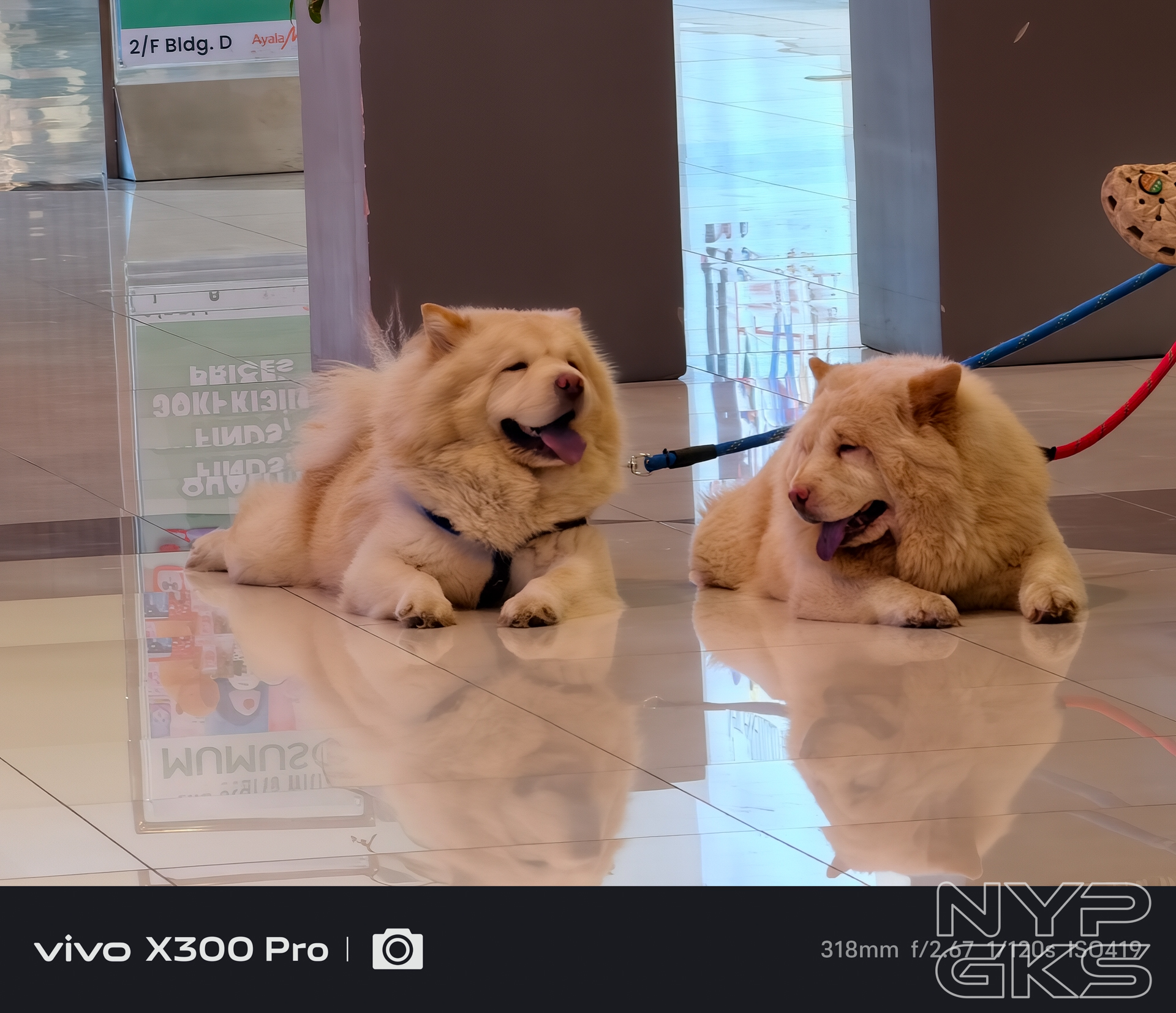 vivo-X300-Pro-Telephoto-5594